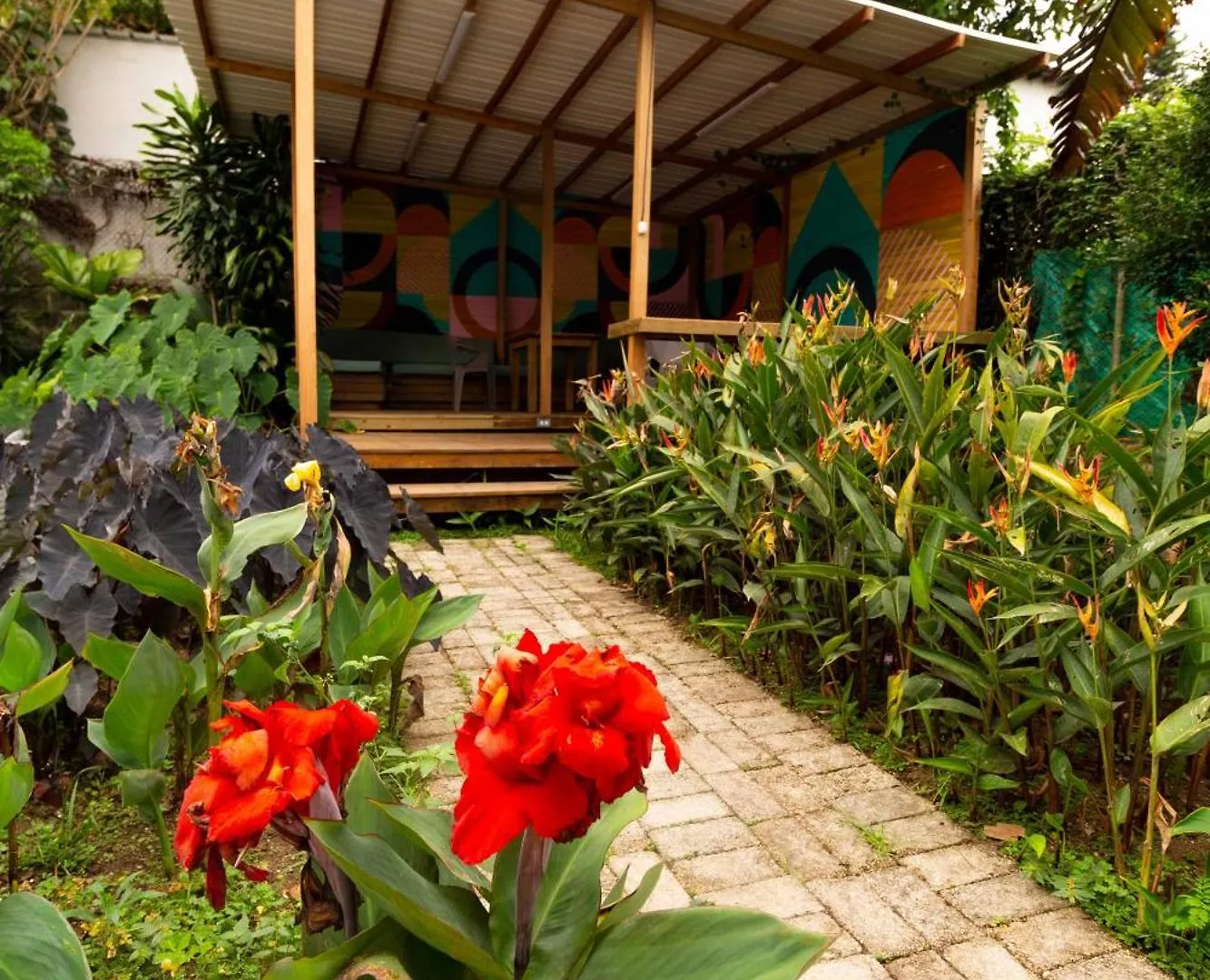 Alojamiento Que Permite Mascota En Medellin A103 By Roots Rentals Colombia